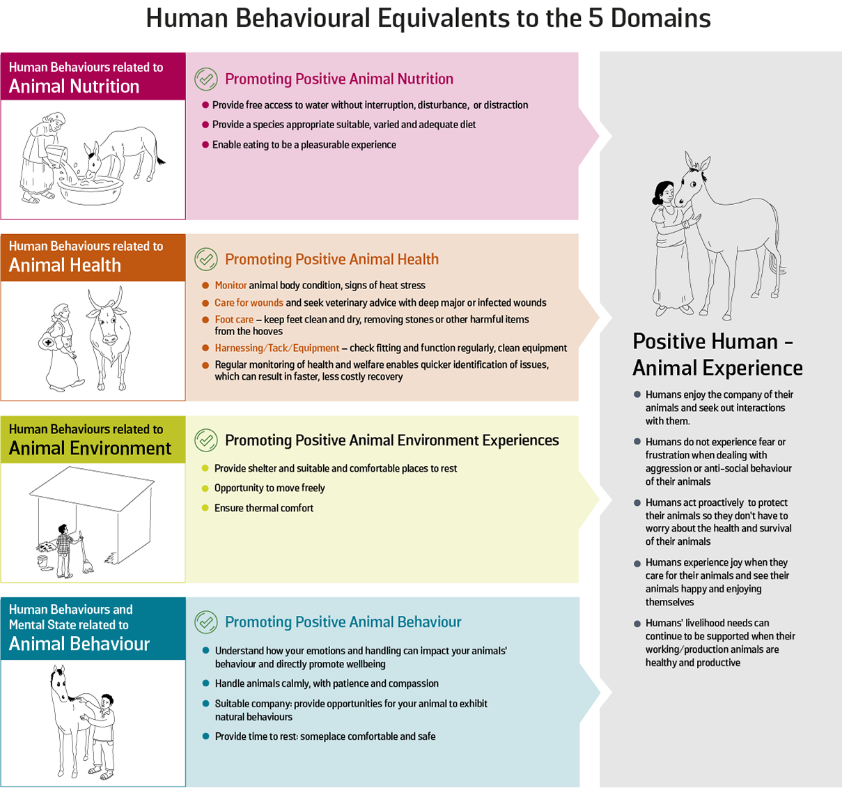 Figure 20: Examples of human behaviour supporting the five domains.