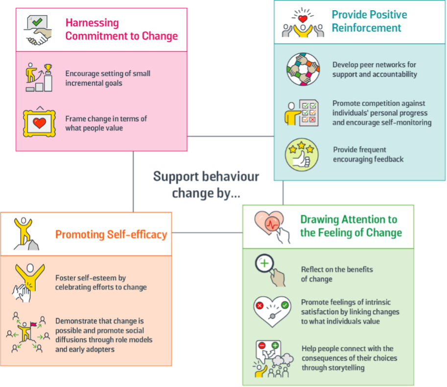 Figure 41:  Mechanisms for Supporting Behaviour Change 