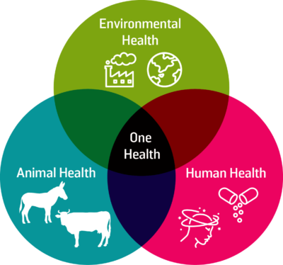 Figure 21: Visualizing the concept of One Health [12]