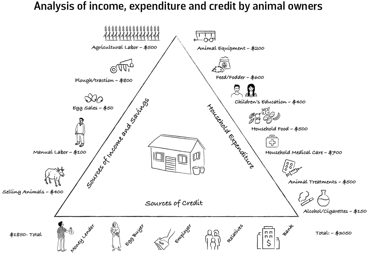 Figure T13 Analysis of income, expenditure and credit by animal owners