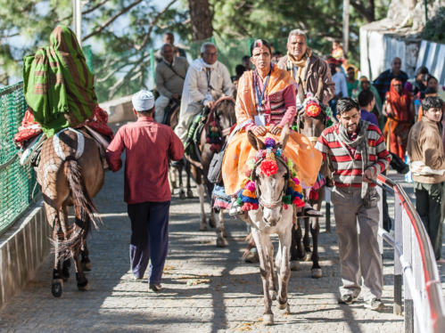 Horses supporting cultural and social activities in India.