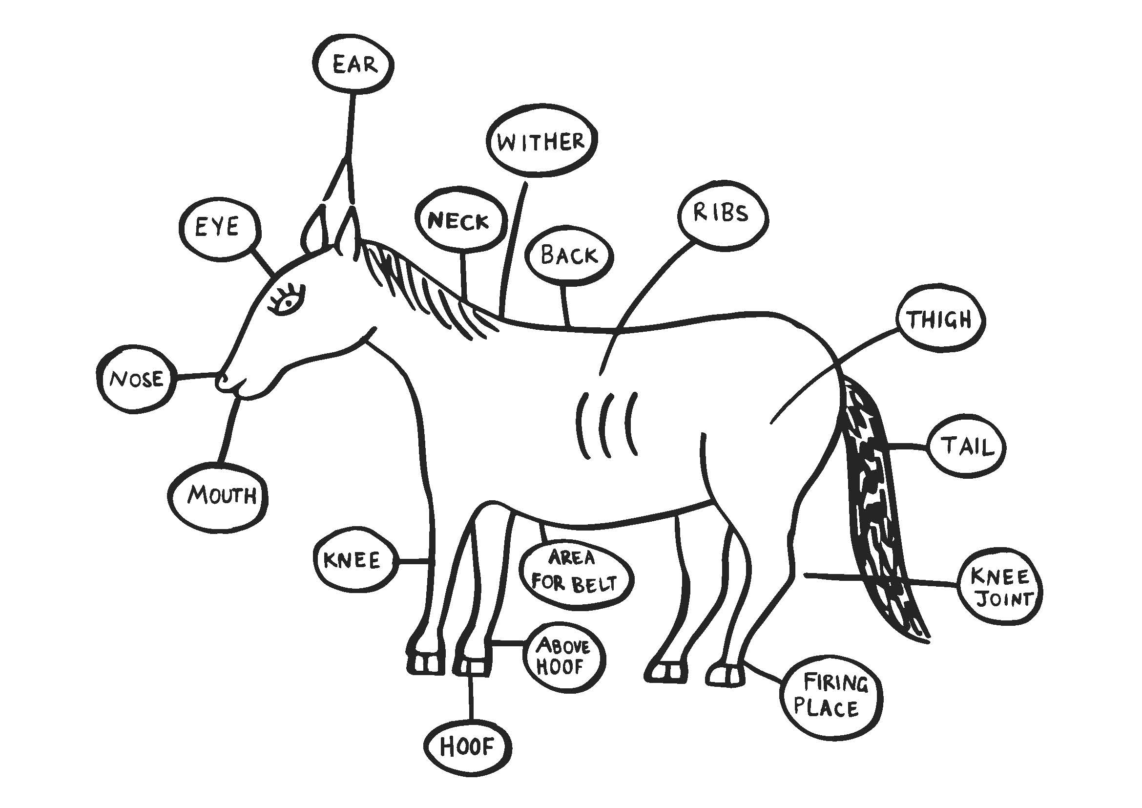 Figure T20a Simple animal body parts map of a working horse