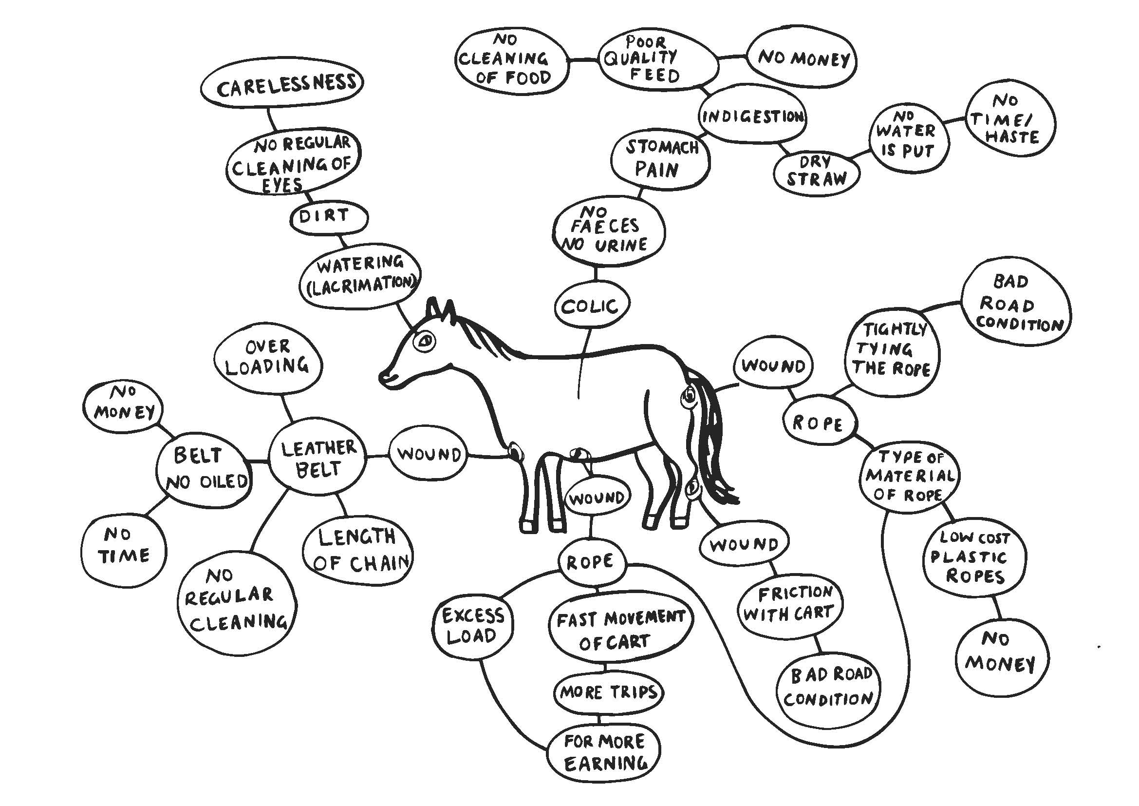 Figure T25a Problem animal diagram