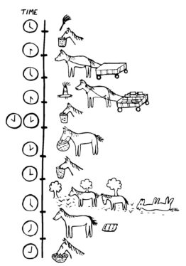 T4 Daily Activity Schedule - Communities for Animals | The Brooke