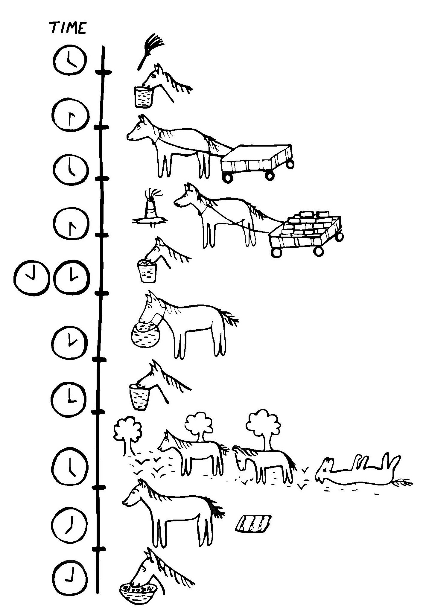 Figure T4B Daily activity schedule of the working animal