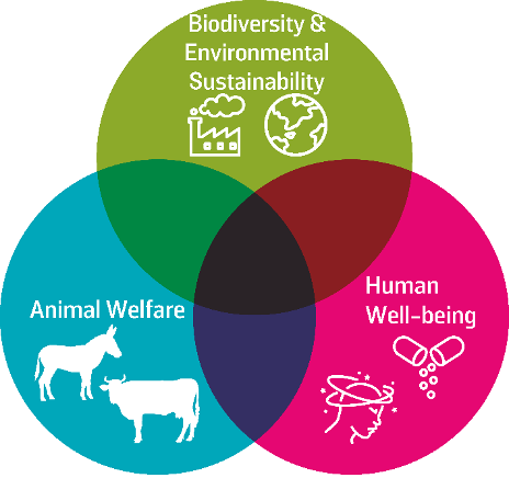 Figure 36: Visualizing One Welfare - interconnected nature of human well-being, anima welfare, and biodiversity and the environmental sustainability.