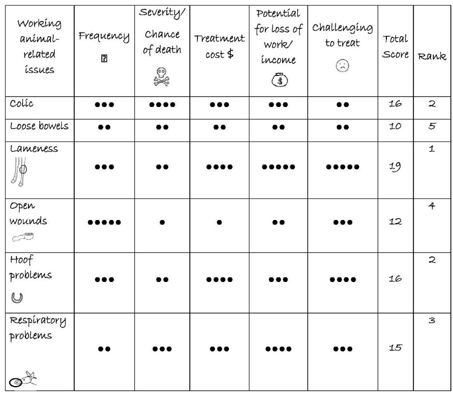 Figure T9a Matrix scoring and ranking of working animal-related issues