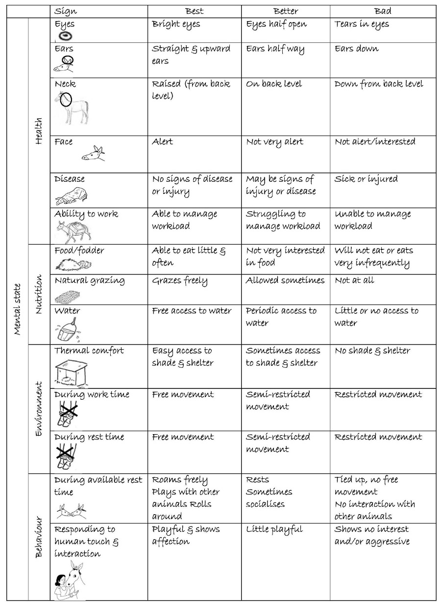 Figure T19 Animal feelings analysis by an animal-owning community