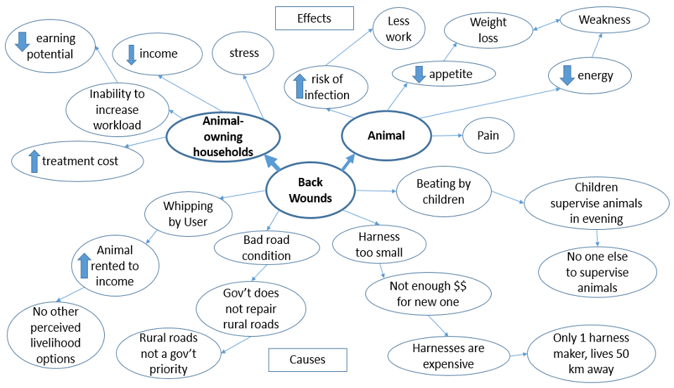 T26a Animal Welfare Cause and Effect Analysis diagram for an Animal-Owning Community